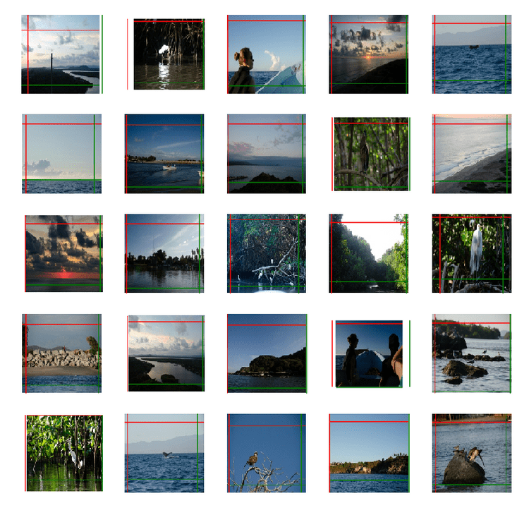 Training the CropperHead Network